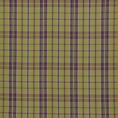 Heathcliff Pistachio Woven Check 