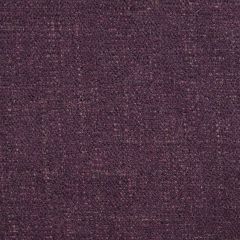 Orkney Violet