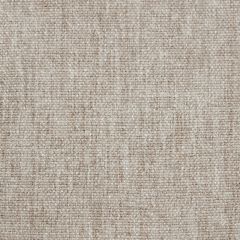 Savoy Taupe